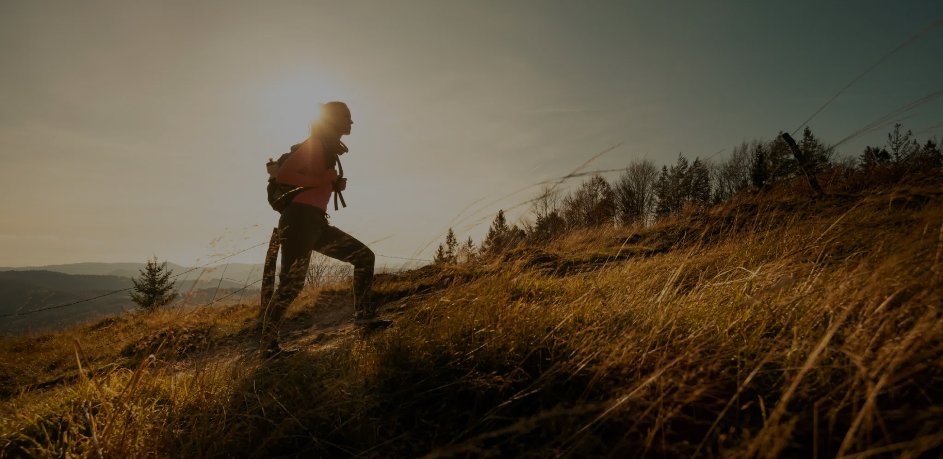 backpacker-dark-1